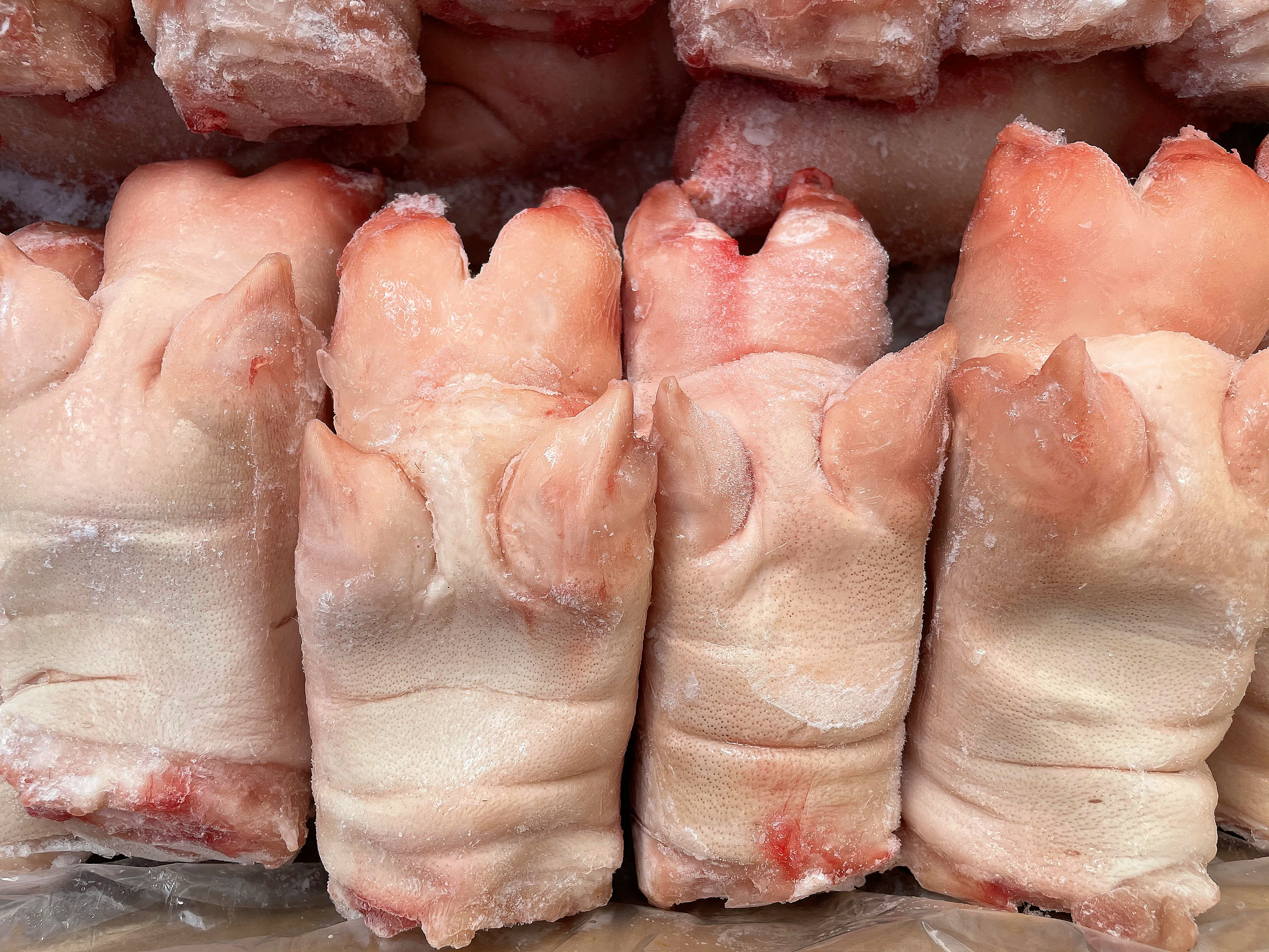 新鲜猪手生鲜猪蹄带筋前蹄猪脚新鲜猪蹄20斤整箱冷冻猪手整只猪爪