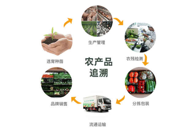 e批生鲜与农产品批发流通环节的融合